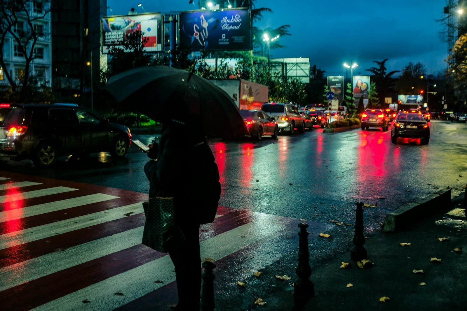 a person holding an umbrella on a sidewalk